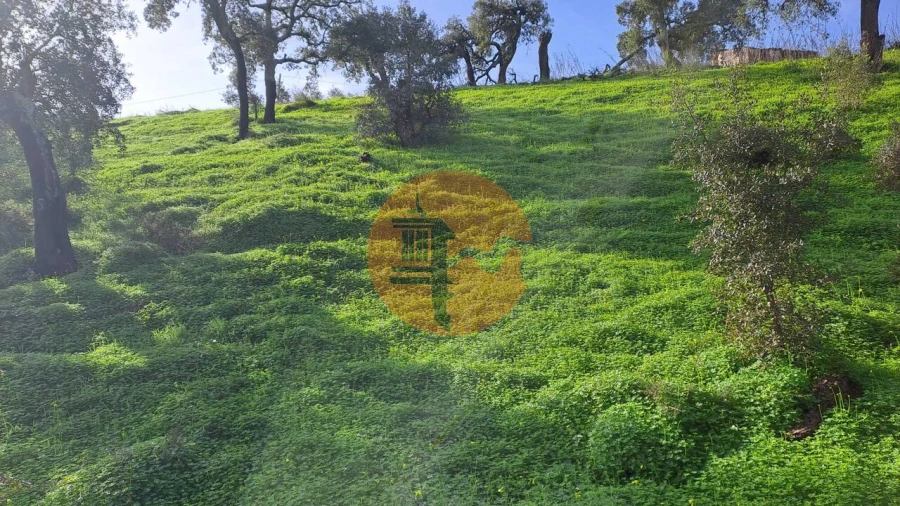 Terreno para Venda em Santa Catarina da Fonte do Bispo Foto 13