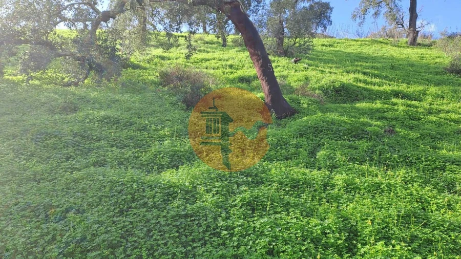 Terreno para Venda em Santa Catarina da Fonte do Bispo Foto 14
