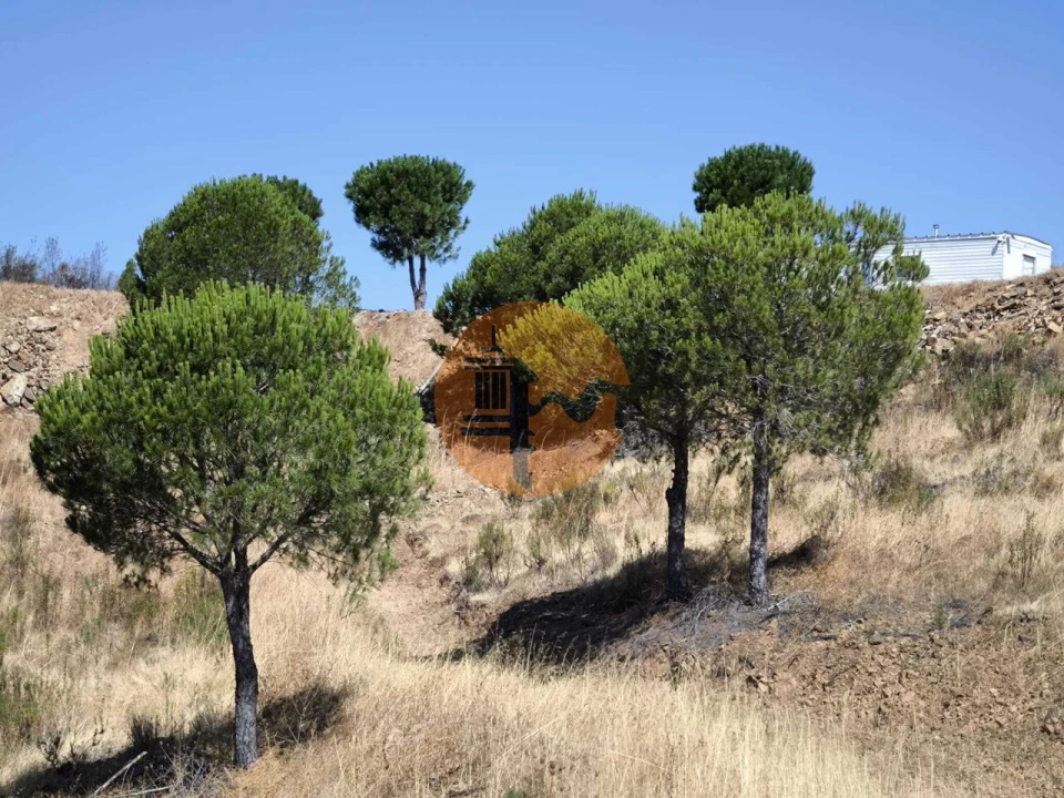 Terreno para Venda em Azinhal Foto 1