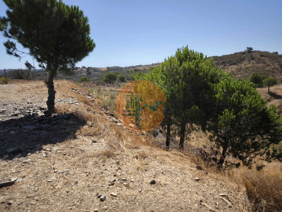 Terreno para Venda em Azinhal Foto 17