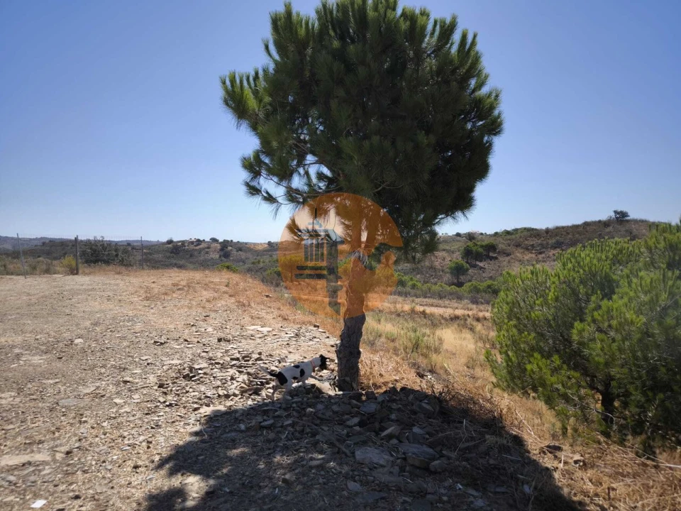 Terreno para Venda em Azinhal Foto 26