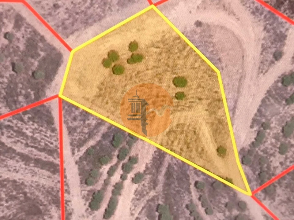 Terreno para Venda em Azinhal Foto 2