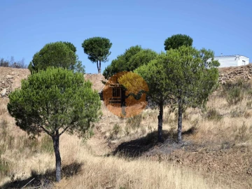 Terreno para Venda em Azinhal
