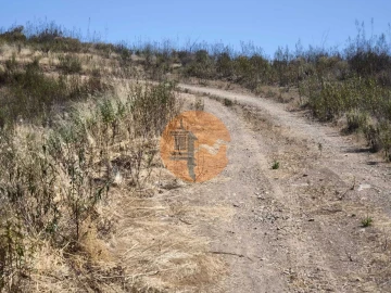 Terreno para Venda em Azinhal