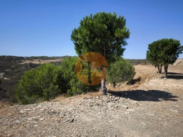 Terreno para Venda em Azinhal