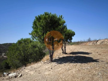 Terreno para Venda em Azinhal