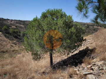 Terreno para Venda em Azinhal