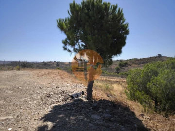 Terreno para Venda em Azinhal