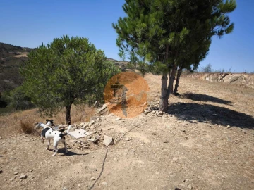 Terreno para Venda em Azinhal