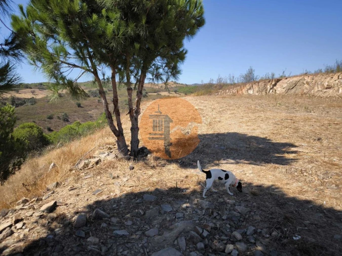 Terreno para Venda em Azinhal Foto 18