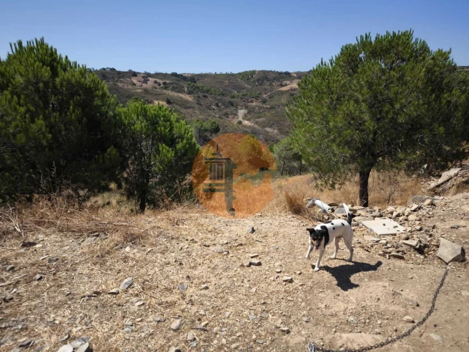 Terreno para Venda em Azinhal Foto 23