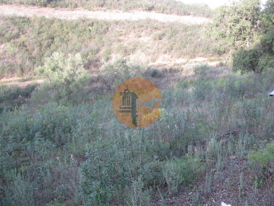 Terreno para Venda em Azinhal Foto 6