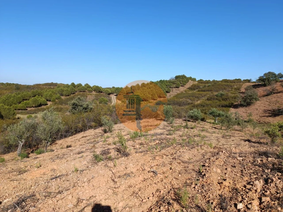 Terreno para Venda em Azinhal Foto 13