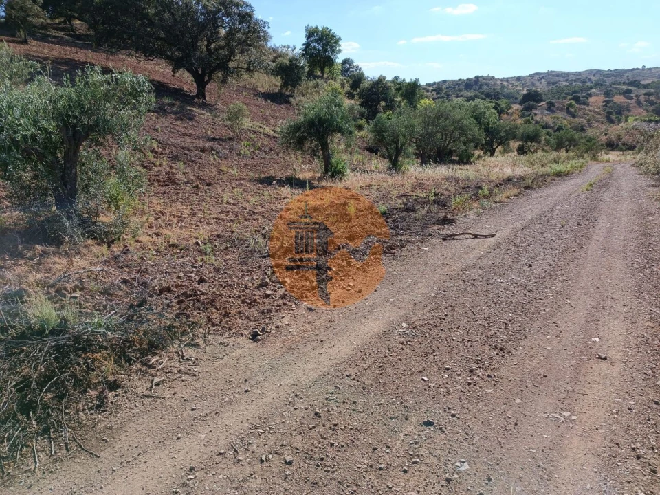 Terreno para Venda em Azinhal Foto 17