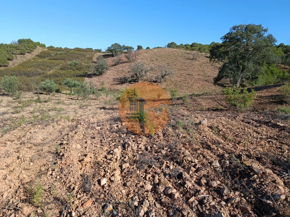 Terreno para Venda em Azinhal Foto 19