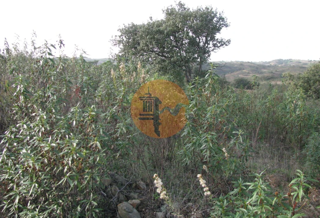 Terreno para Venda em Azinhal Foto 23