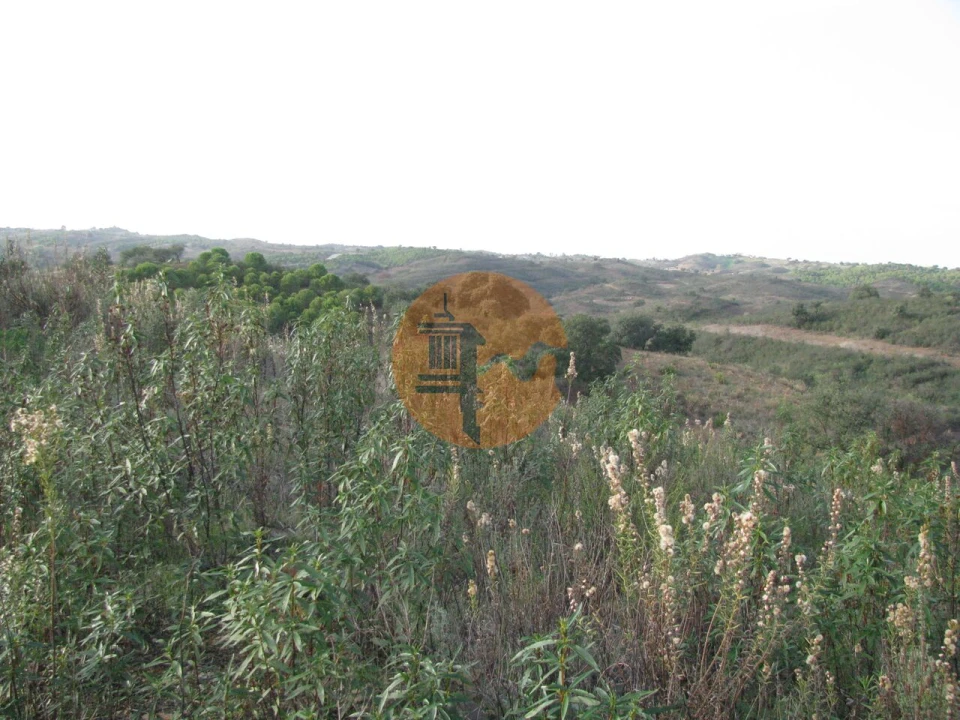 Terreno para Venda em Azinhal Foto 24