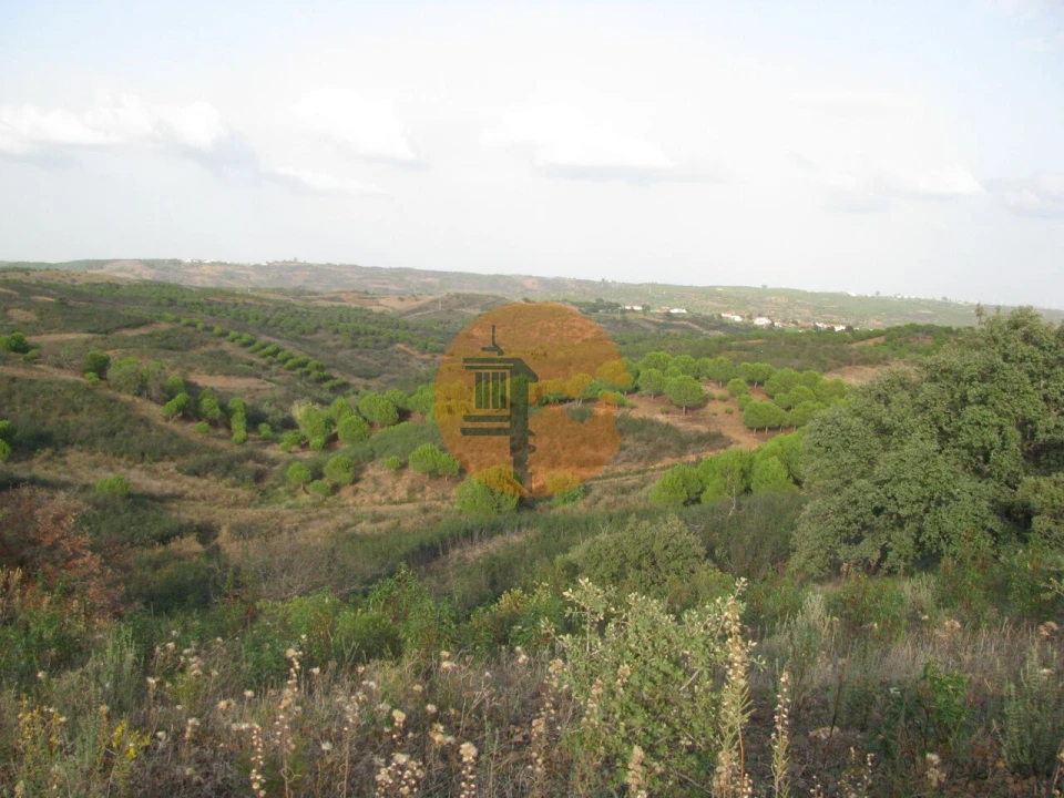 Terreno para Venda em Azinhal Foto 27