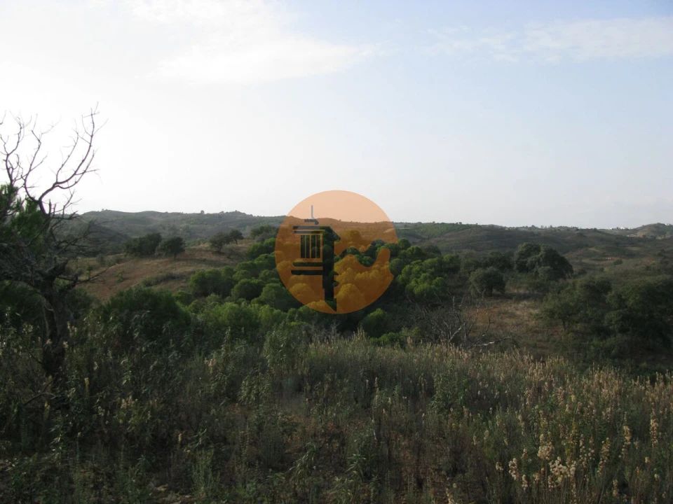 Terreno para Venda em Azinhal Foto 29