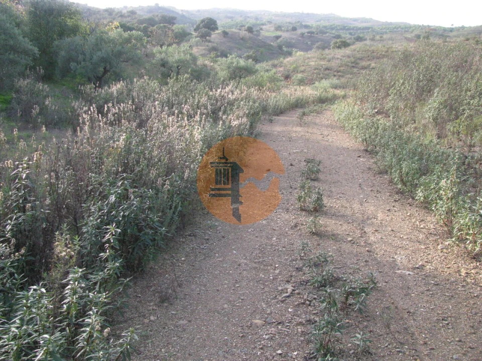 Terreno para Venda em Azinhal Foto 30