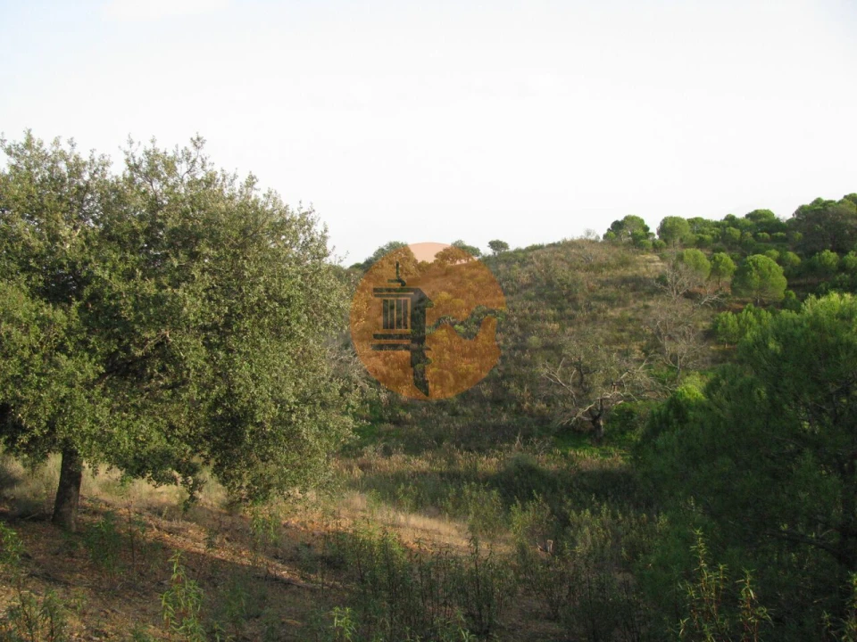 Terreno para Venda em Azinhal Foto 39