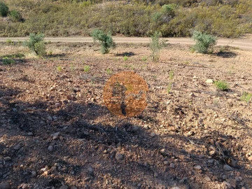 Terreno para Venda em Azinhal