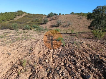 Terreno para Venda em Azinhal