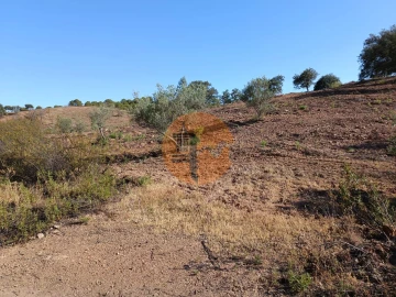 Terreno para Venda em Azinhal