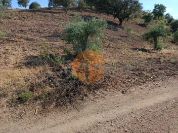 Terreno para Venda em Azinhal
