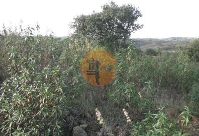 Terreno para Venda em Azinhal