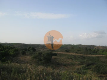 Terreno para Venda em Azinhal