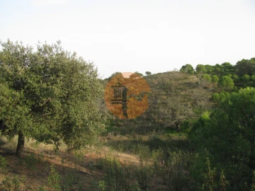 Terreno para Venda em Azinhal