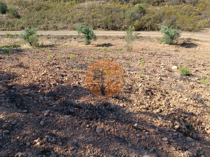 Terreno para Venda em Azinhal Foto 8