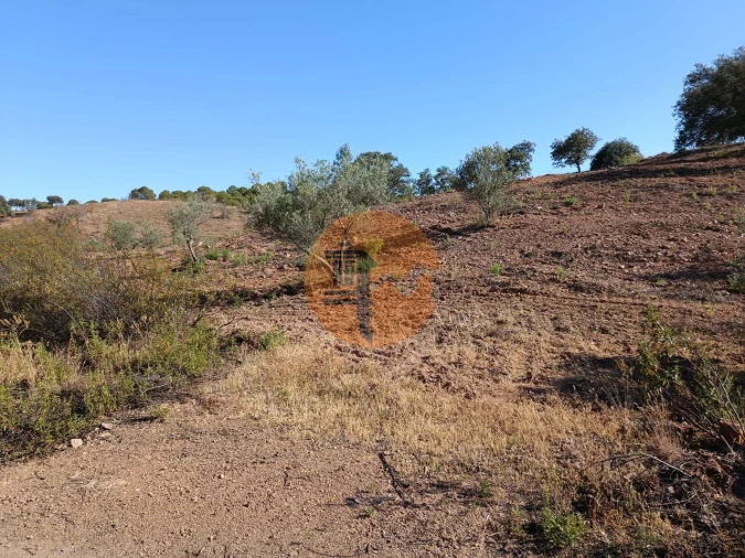 Terreno para Venda em Azinhal Foto 15