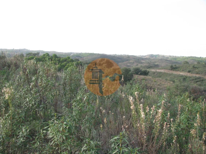Terreno para Venda em Azinhal Foto 24
