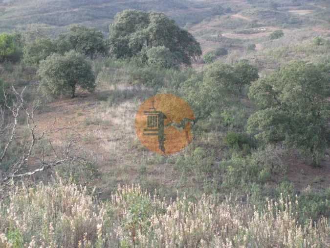 Terreno para Venda em Azinhal Foto 25