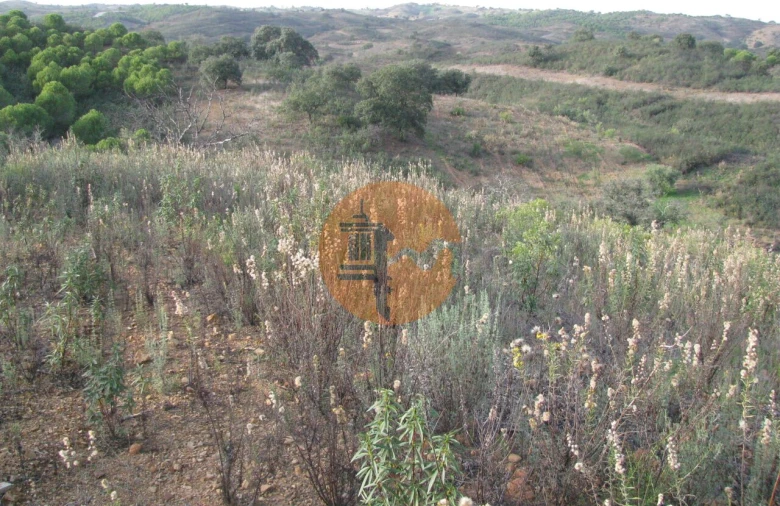 Terreno para Venda em Azinhal Foto 26