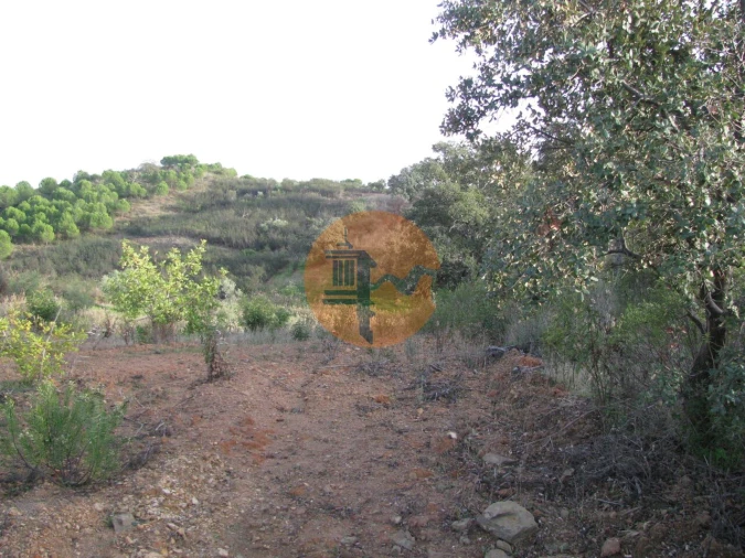 Terreno para Venda em Azinhal Foto 33