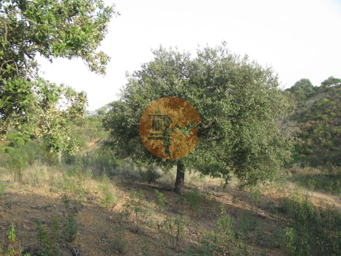 Terreno para Venda em Azinhal Foto 38
