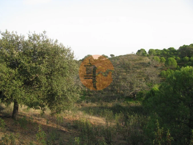 Terreno para Venda em Azinhal Foto 39