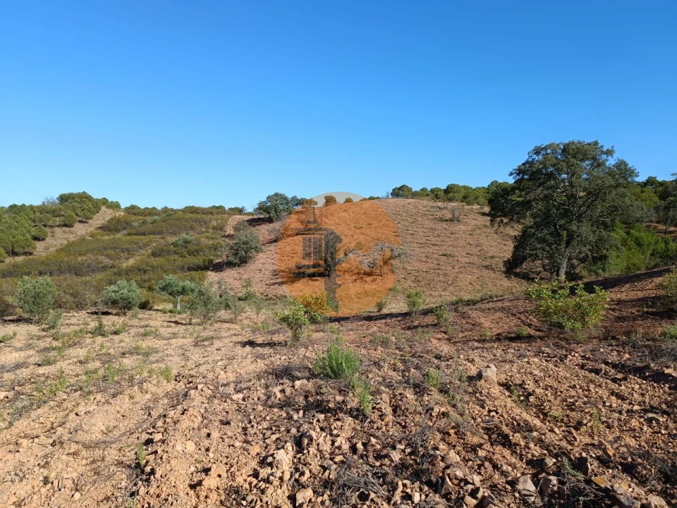 Terreno para Venda em Azinhal Foto 9