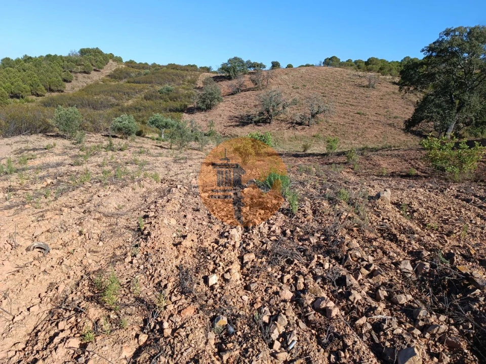 Terreno para Venda em Azinhal Foto 11