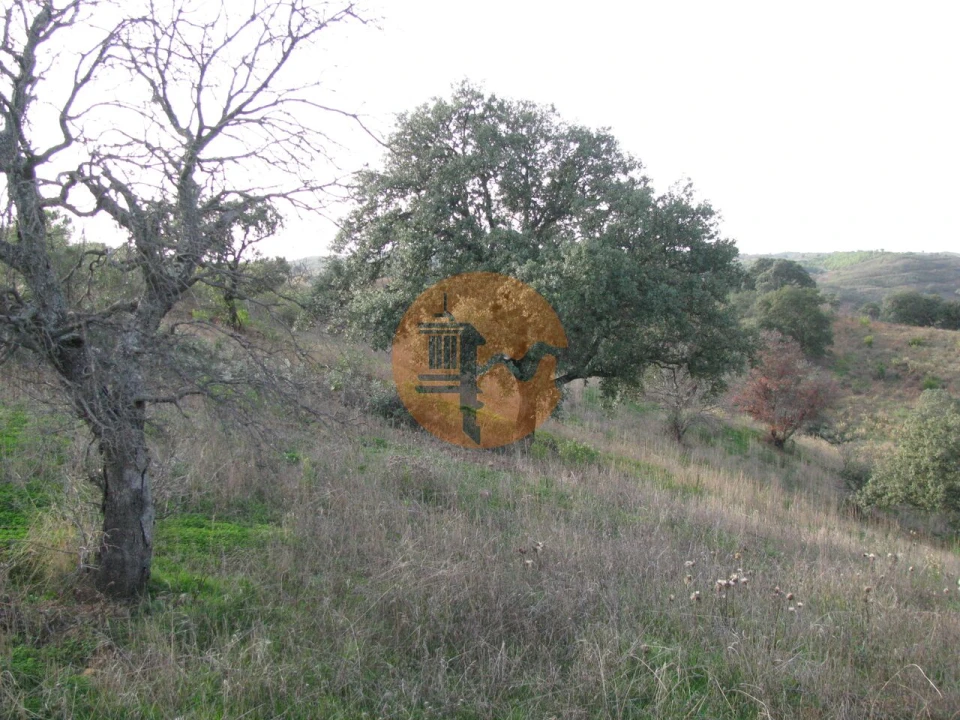 Terreno para Venda em Azinhal Foto 17