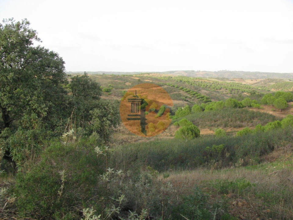 Terreno para Venda em Azinhal Foto 18
