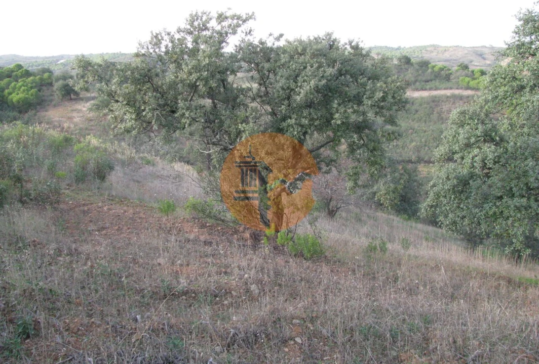 Terreno para Venda em Azinhal Foto 20