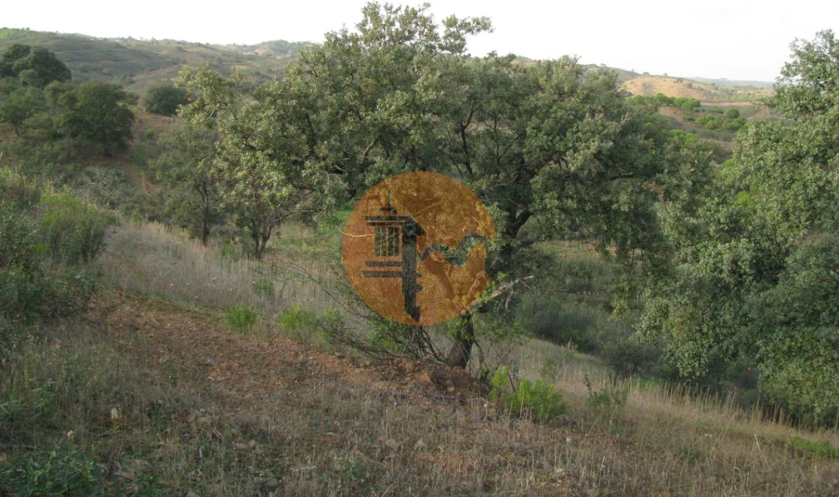 Terreno para Venda em Azinhal Foto 22