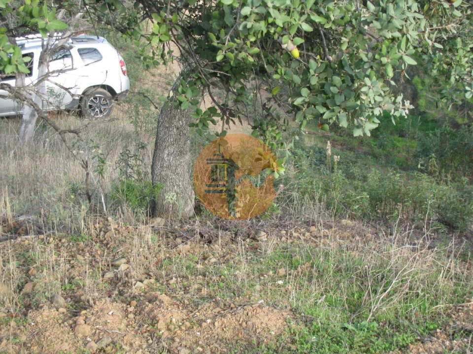 Terreno para Venda em Azinhal Foto 23