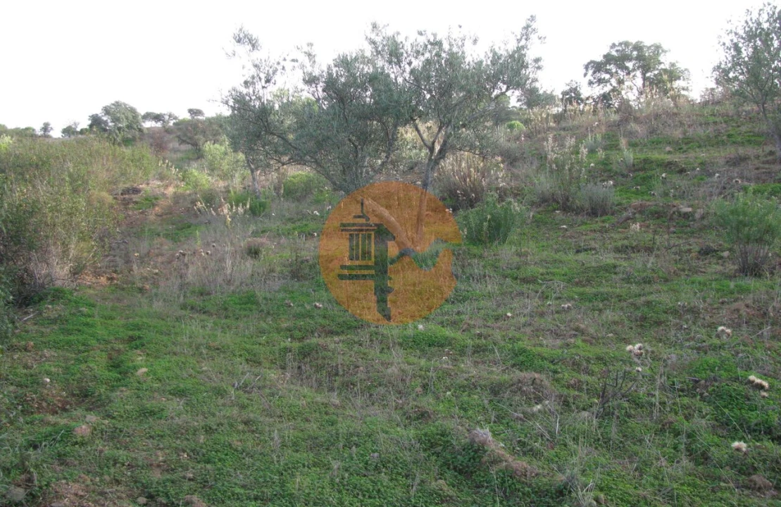Terreno para Venda em Azinhal Foto 24