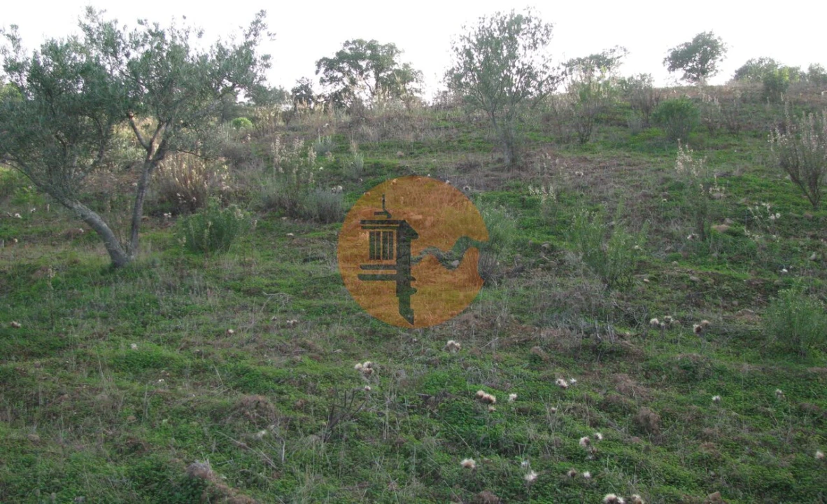 Terreno para Venda em Azinhal Foto 26