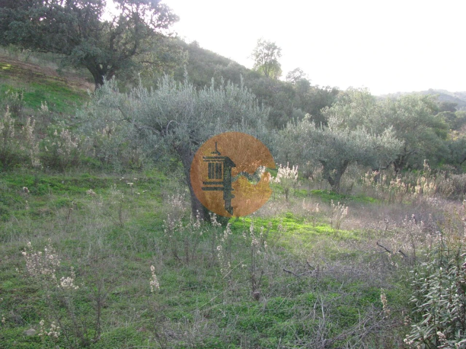Terreno para Venda em Azinhal Foto 27